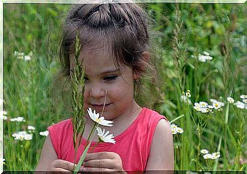 Little girl walking in a field holding some daisies.