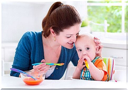 Savory recipes for babies from 6 to 9 months