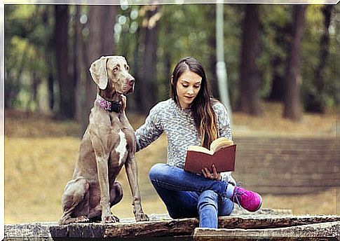 Girl reads a book at the park